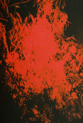 Jenny Slattery