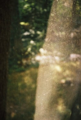 Jenny Slattery