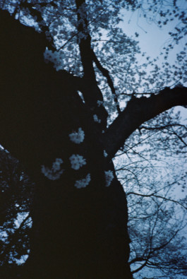 Jenny Slattery